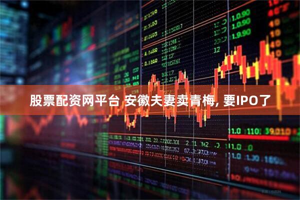 股票配资网平台 安徽夫妻卖青梅, 要IPO了