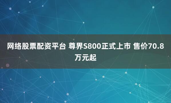 网络股票配资平台 尊界S800正式上市 售价70.8万元起